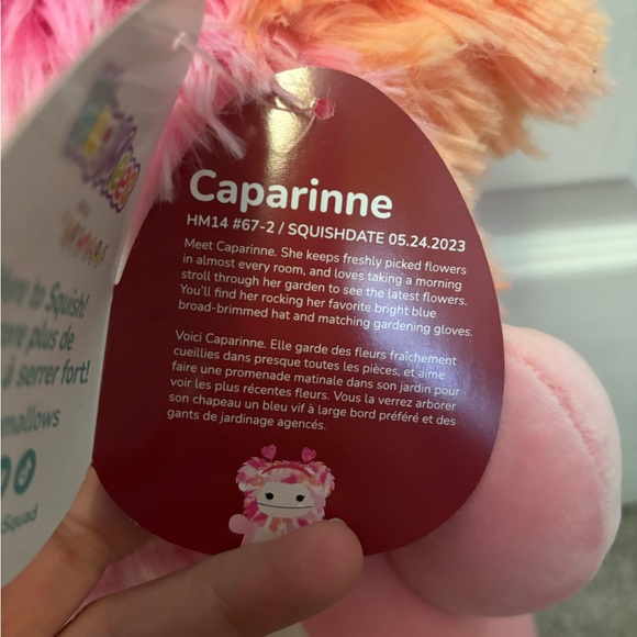 NWT 14” Caparinne the Bigfoot Valentines Squishmallow Hugmee - Picture 2 of 6